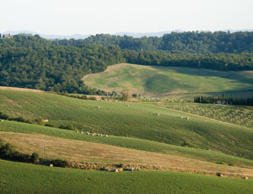 CAMPAGNA E COLLINA